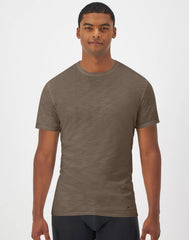 Hanes Explorer Men's Crewneck T-Shirt, 2-Pack