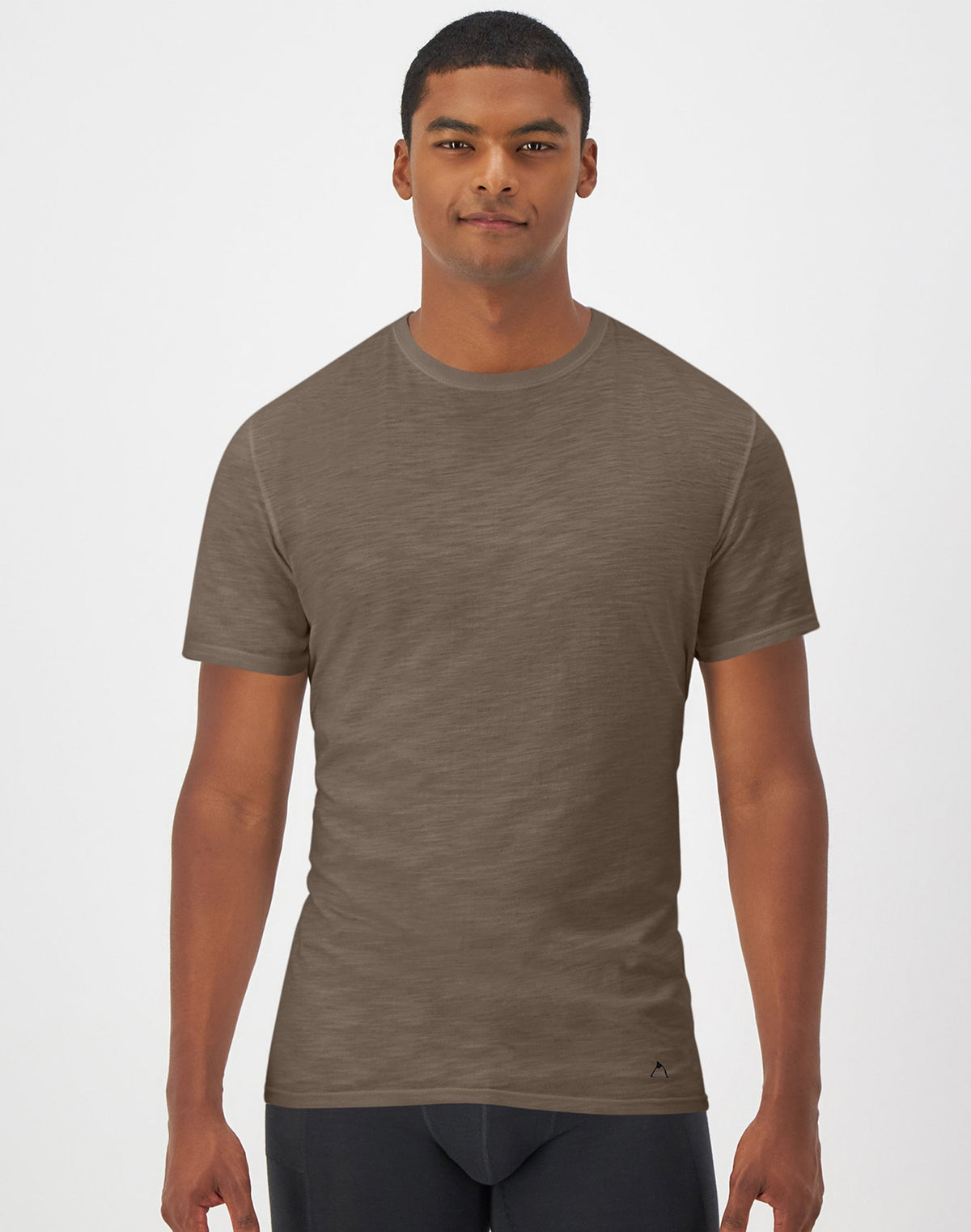 Hanes Explorer Men's Crewneck T-Shirt, 2-Pack